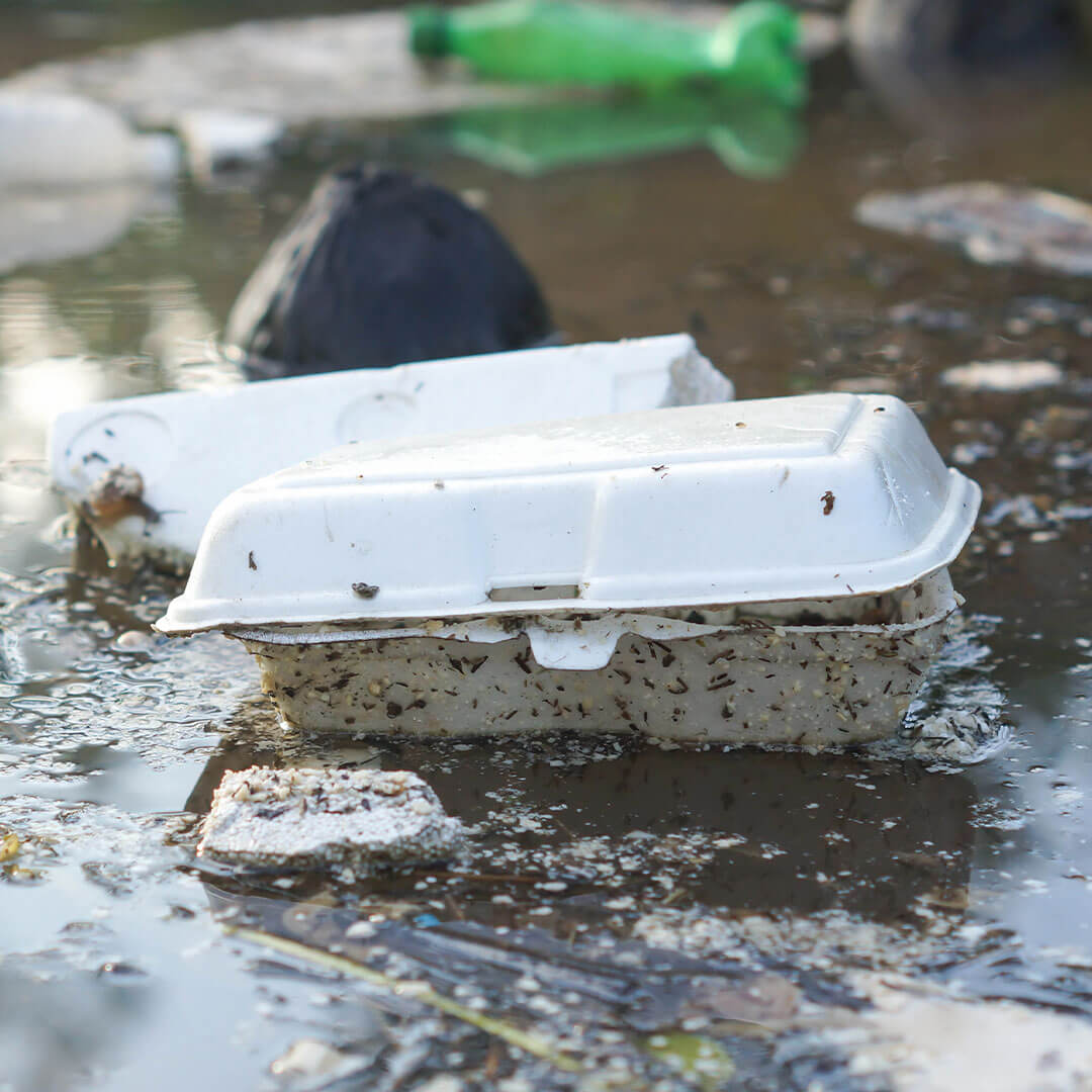 foam litter